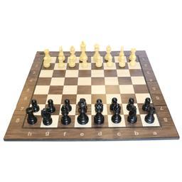صفحه و مهره شطرنج کژوال طرح DGT