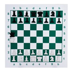 تابلو آموزشی شطرنج مدل کژوال