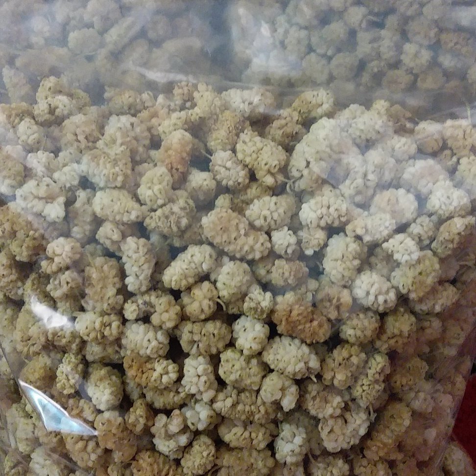 توت خشک سفید و ممتاز در بسته بندی 500 گرمی