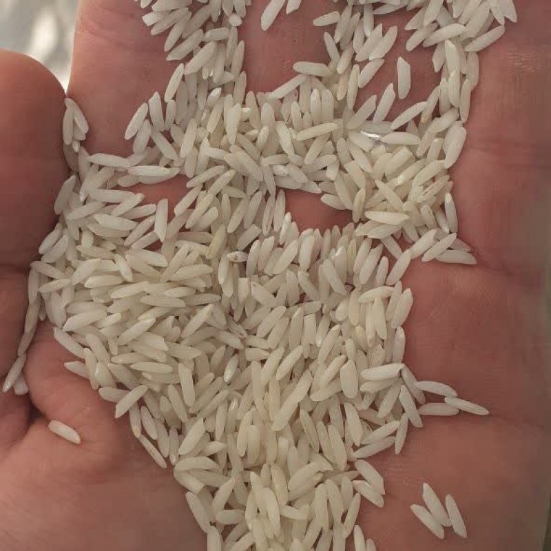 برنج طارم هاشمی (1کیلوئی) غربال و سورت شده صداقت