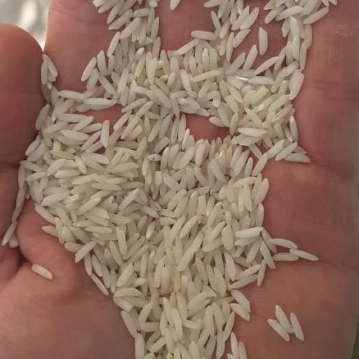 برنج طارم هاشمی (10کیلوگرمی) غربال و سورت شده صداقت