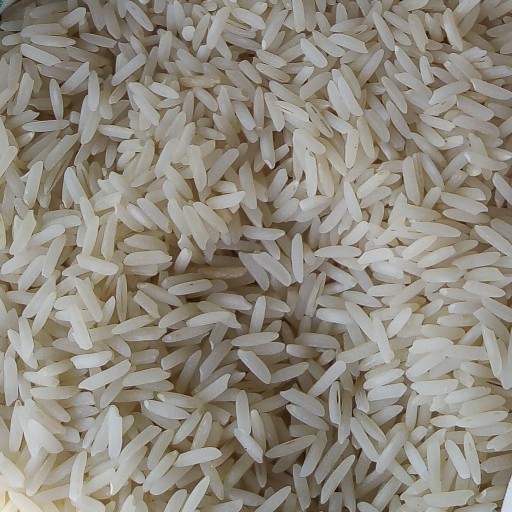 برنج شیرودی (یک کیلویی)