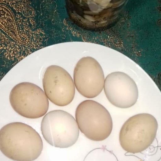 تخم مرغ محلی  صد در صد طبیعی و سالم