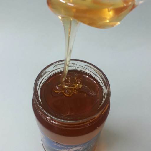 عسل طبیعی چهل گیاه یونجه ( 1کیلوگرم)