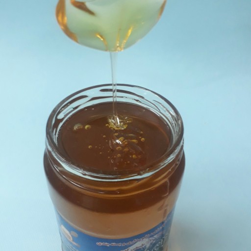 عسل طبیعی گون  ( 1 کیلوگرم)