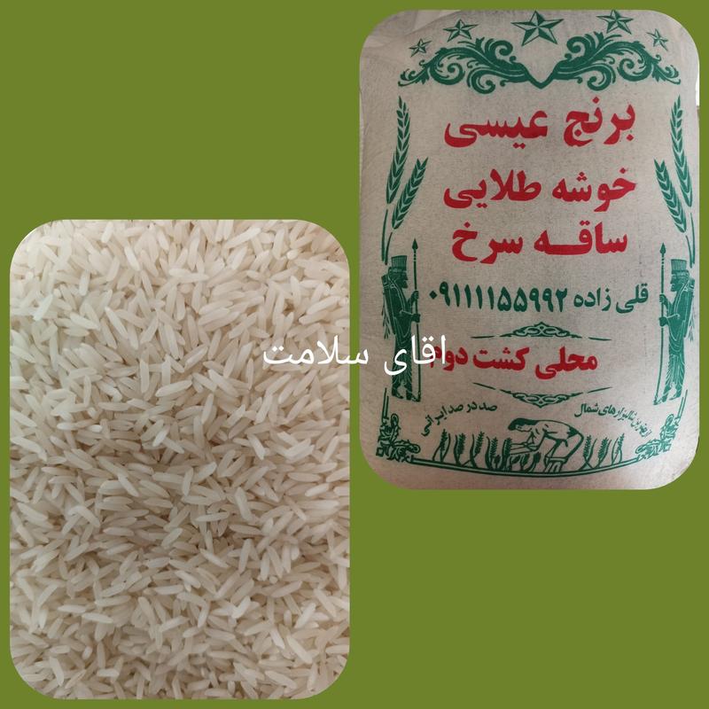 برنج شمالی خوشه طلایی خوش پخت کشت دوم ارسال رایگان وفقط اصفهان