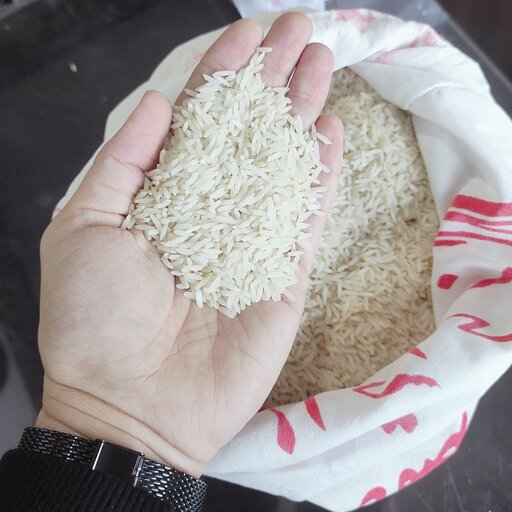 برنج استخوانی فریدونکنار(ندا)