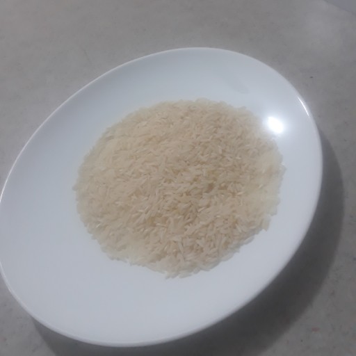 برنج هاشمی استانه