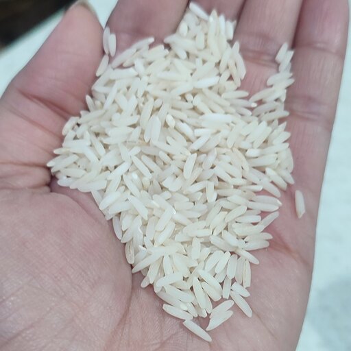 برنج هاشمی درشت  خالص رشت محصول زمین خودم
