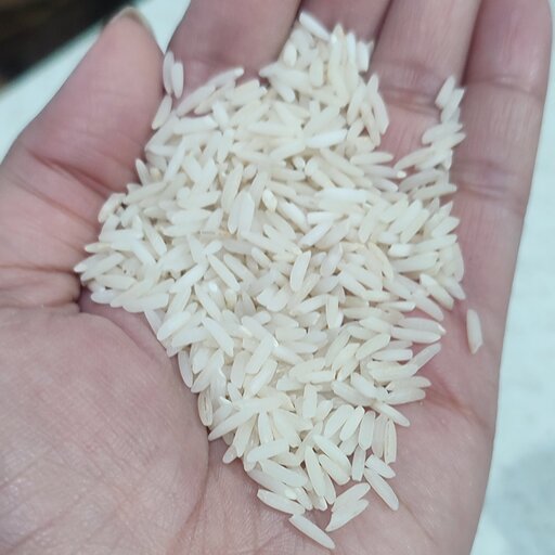 10کیلو برنج هاشمی درشت خالص برای زمین کشاورزی خودم رشت بدون قاطی