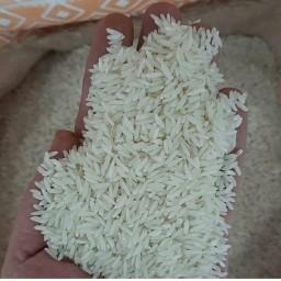 برنج طارم هاشمی فوق ممتاز شمال