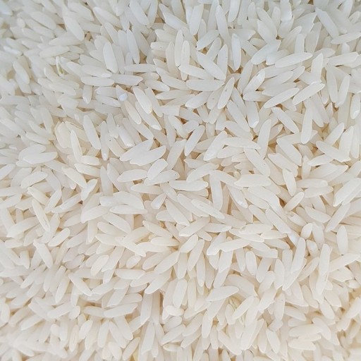 برنج طارم هاشمی فوق ممتاز شمال در بسته های 20 کیلویی