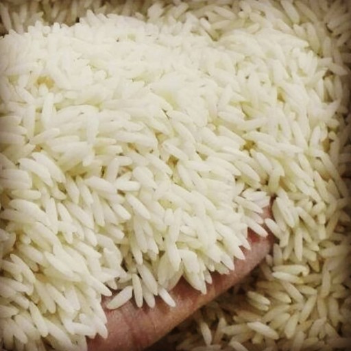 برنج شمال طارم هاشمی ارگانیک