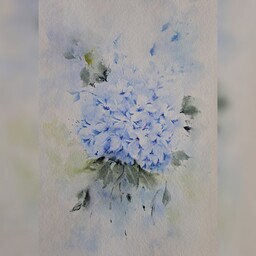 نقاشی گل آبی