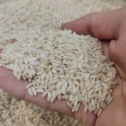 برنج عنبربو  خوشپخت و معطر (یک کیلو)