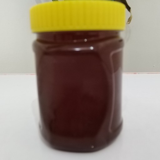 عسل ترنجبین خالص کوه (500گرمی)