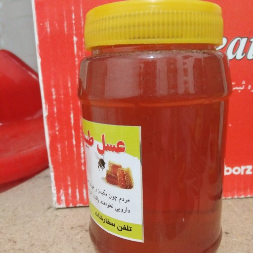 عسل طبیعی کوه (1 کیلوگرمی)