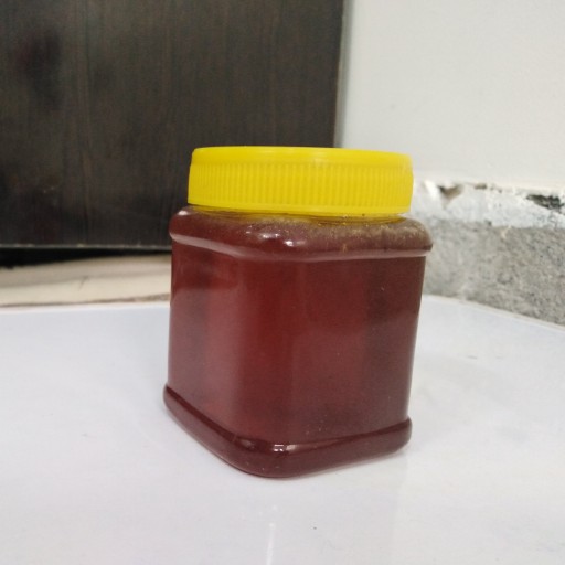 عسل ترنجبین خالص کوه (500گرمی)
