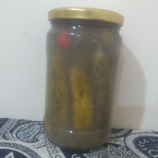 خیار شور خانگی