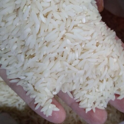 برنج دم سیاه درجه یک ... ارسال رایگان ...با کیفیت عالی 