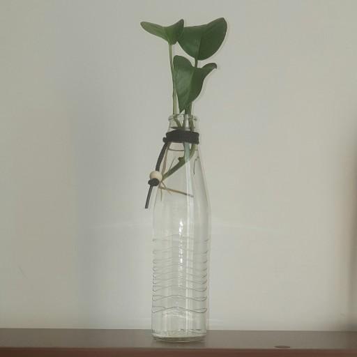 گلدان شیشه ای 2
