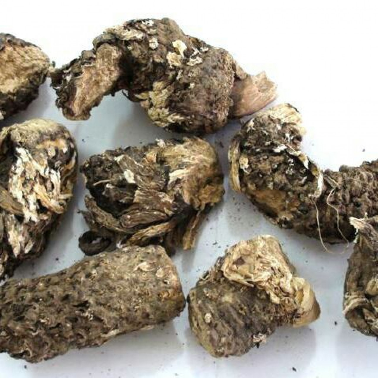 روغن کندش 30 سی سی