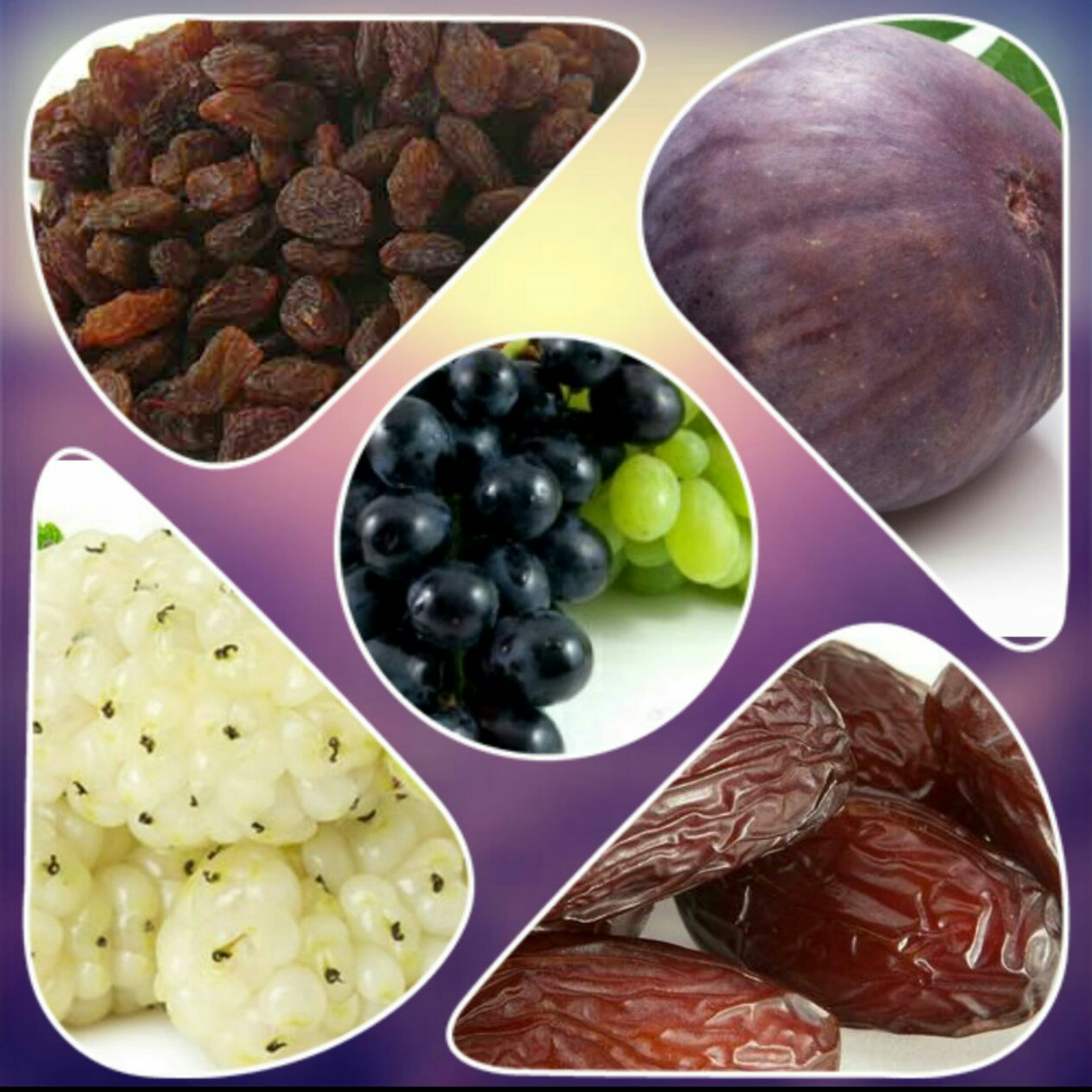 پنج شیره(نیم کیلویی)(دریخچال نگهداری شود.انتخاب پست پیشتاز)