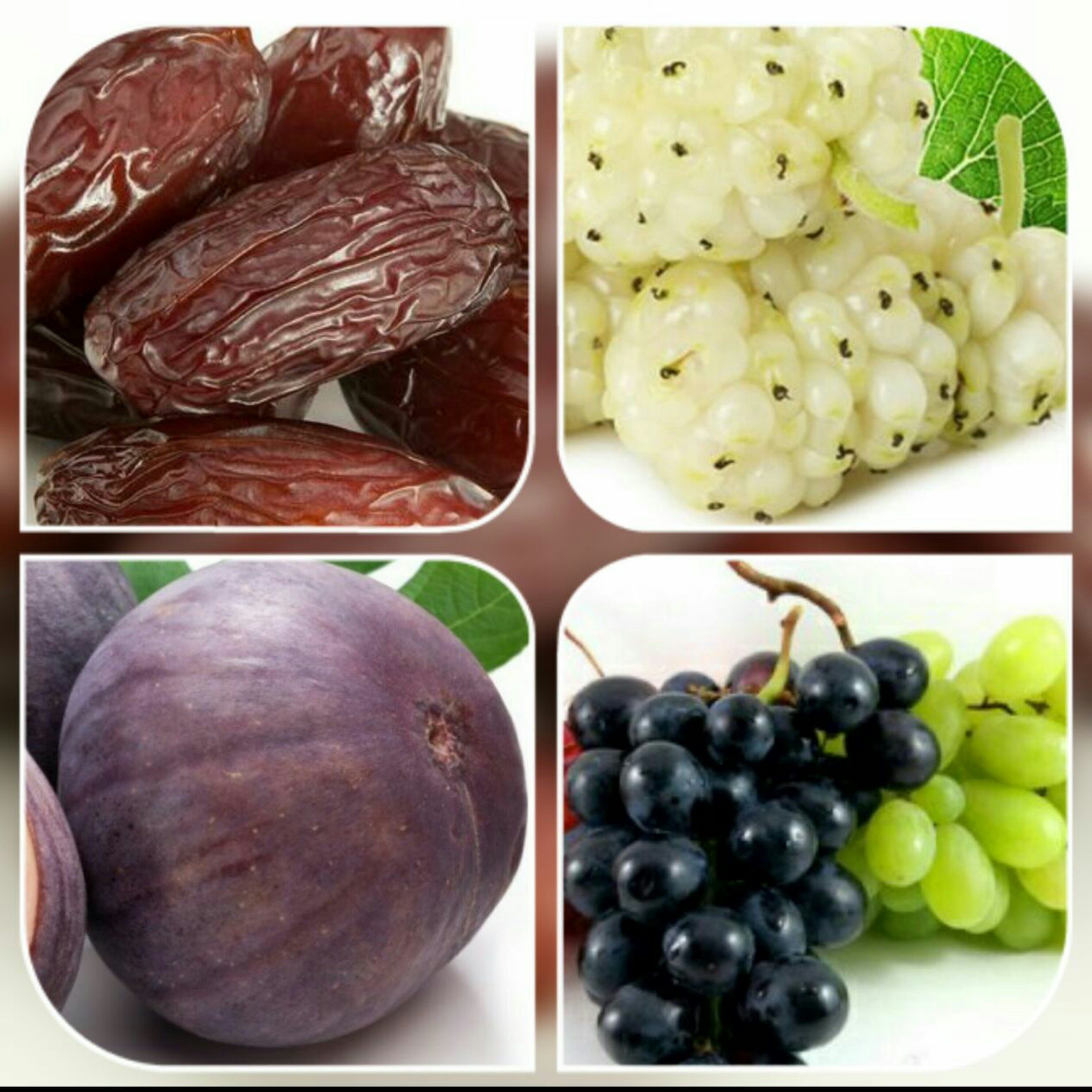 چهارشیره(نیم کیلویی)(دریخچال نگهداری شود.انتخاب پست پیشتاز)
