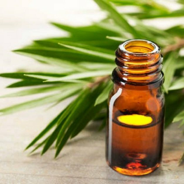 روغن درخت چای 30 سی سی