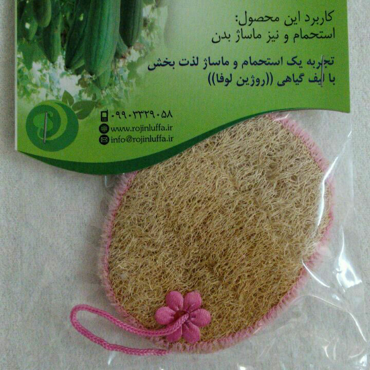 توضیحات تصویر