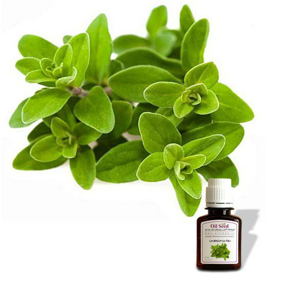 روغن مرزنجوش (دریخچال نگهداری شود)(انتخاب پست پیشتاز)
