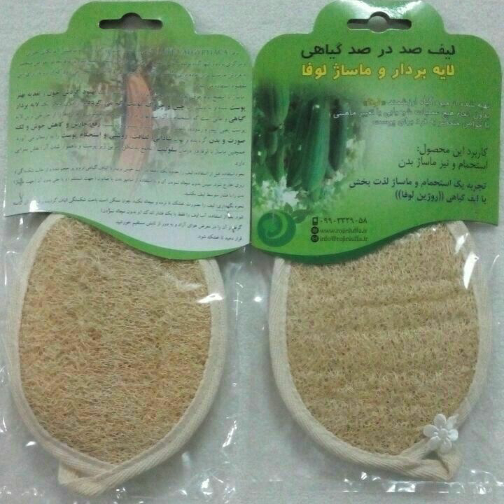 لیف لوفا بیضی دوطرفه