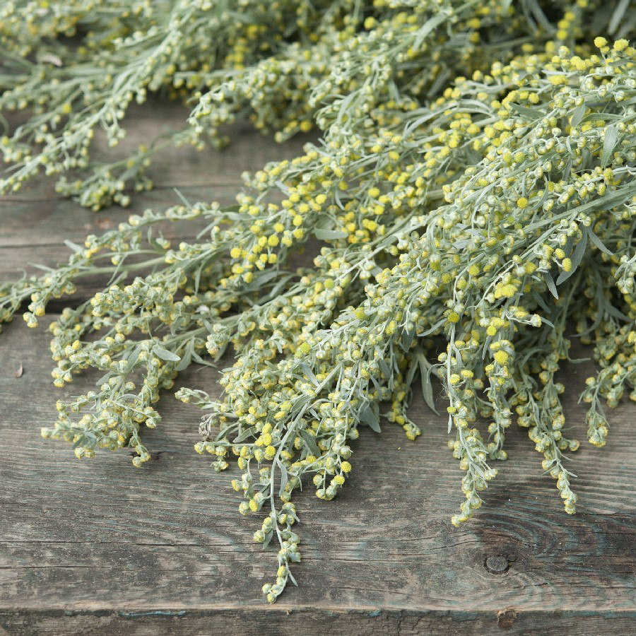 روغن افسنتین 30 سی سی 
