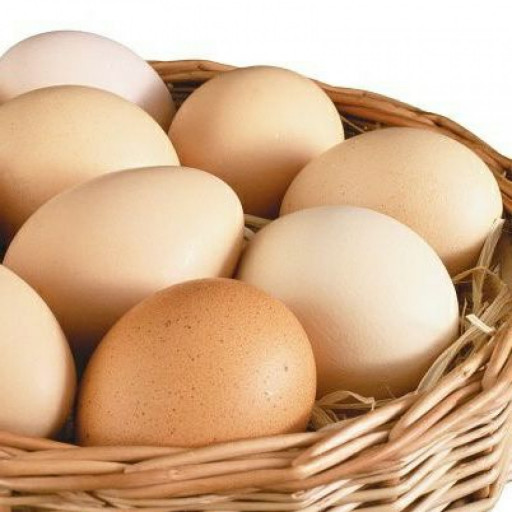 تخم مرغ محلی(بسته 10 تایی) توزیع در شهر زنجان