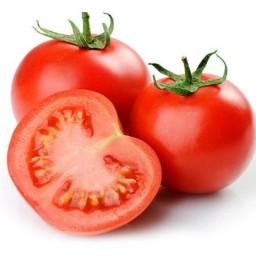 بذر گیاه گوجه فرنگی قرمز رقم کینگ استون (Kingstone Tomato)