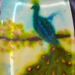 ژله ی تزریقی طرح طاووس بسیار زیبا و شیک مخصوص دیزاین میزغذا