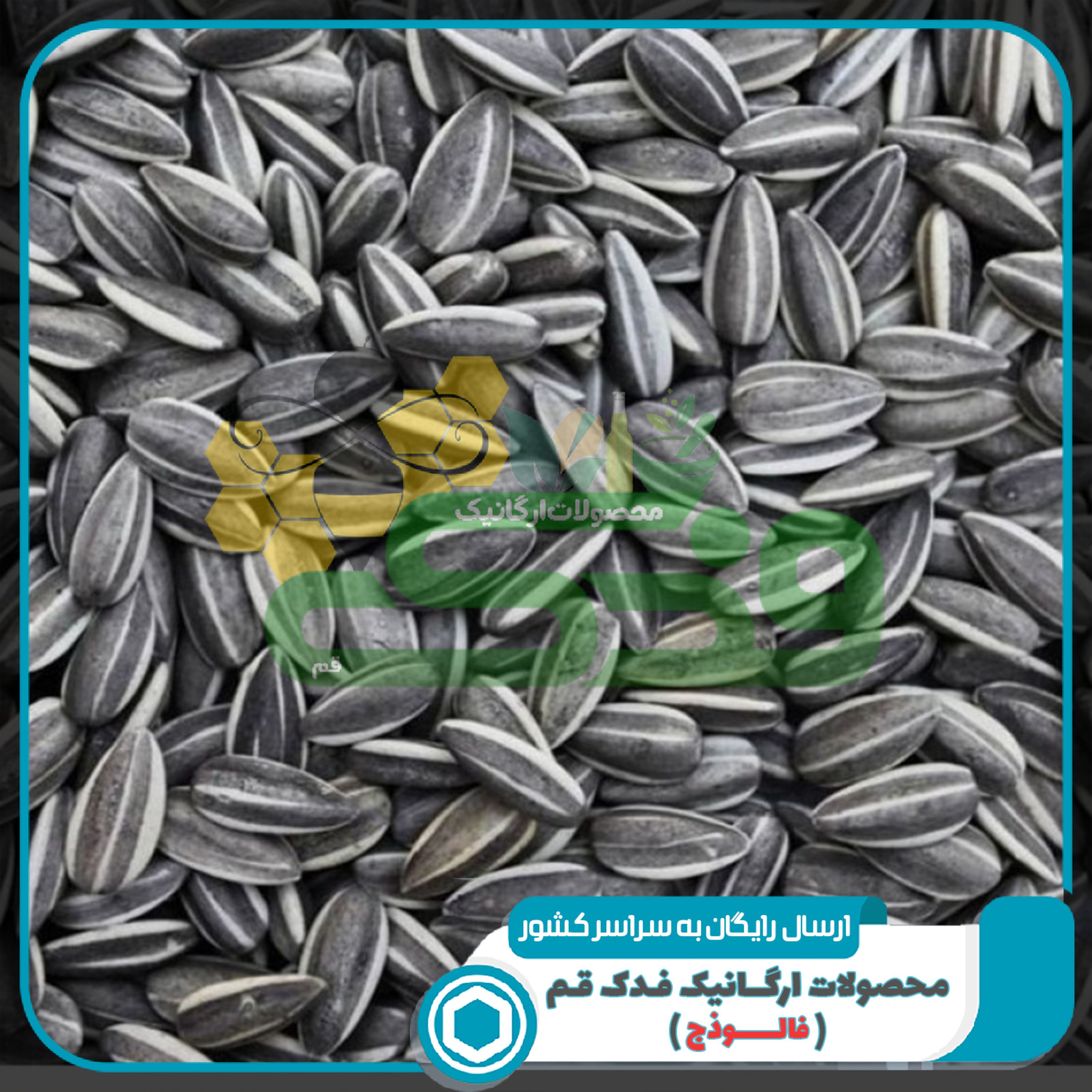 تخمه آفتابگردان ممتاز فدک (1 کیلوگرم)