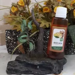 روغن زنجبیل ممتاز فدک (45سی سی)