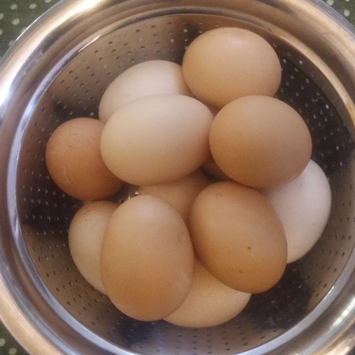 تخم مرغ محلی پک 30تایی