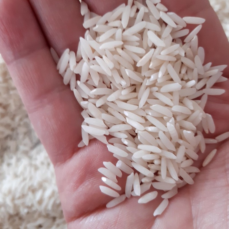 برنج هاشمی آستانه اشرفیه درجه یک  اعلا محصول 1402 (5000گرم ) 