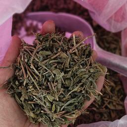چای سبز قلم ممتاز 1403 ( 450 گرمی)