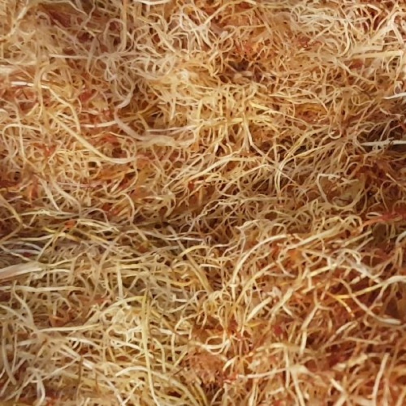 ریشه زعفران دروزن مختلف قیمت براساس یک گرم است