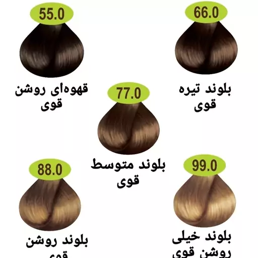 رنگ مو ماکادامیا سری طبیعی قوی 5 رنگ حجم 100 میل