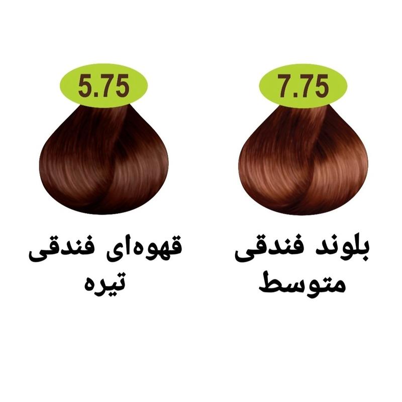 رنگ مو ماکادامیا سری فندقی دو رنگ به همراه اکسیدان 6% یا 9%