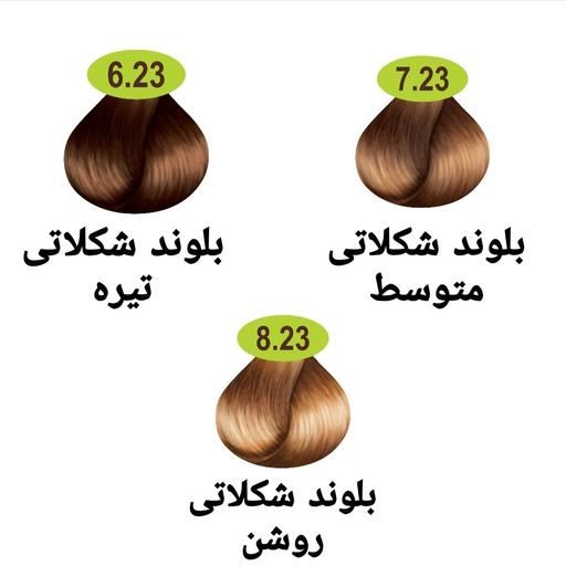 رنگ مو ماکادامیا سری شکلاتی 3 رنگ حجم 100 میل