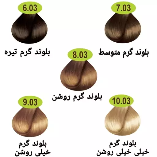 رنگ مو ماکادامیا سری طبیعی گرم 5 رنگ حجم 100 میل