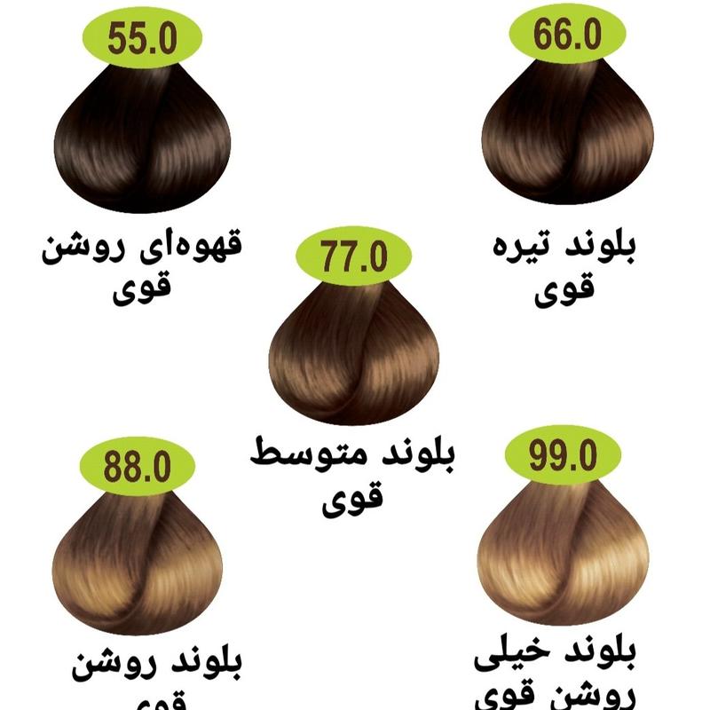 رنگ مو ماکادامیا سری طبیعی قوی 5 رنگ به همراه اکسیدان 6% یا 9%