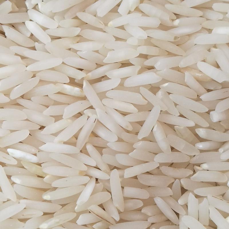 برنج دو بار کشت درجه یک