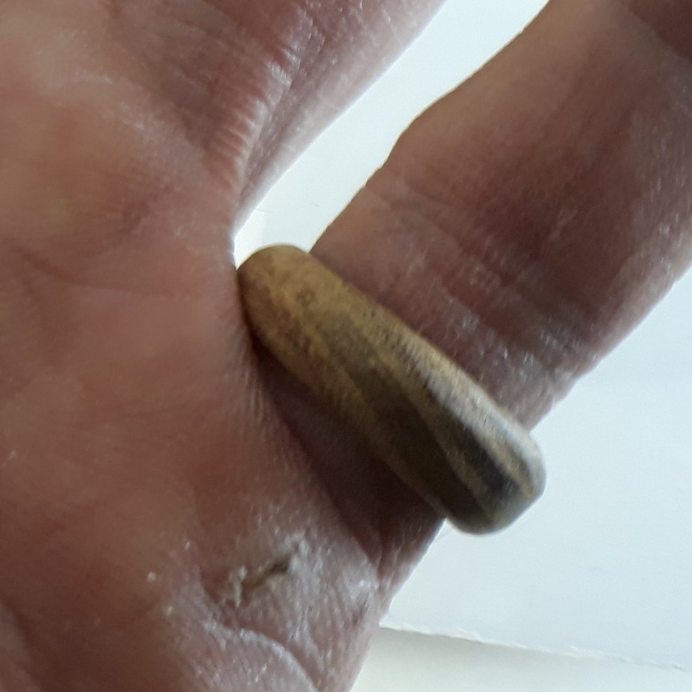 حلقه چوبی ساخته شده از چوب ملچ