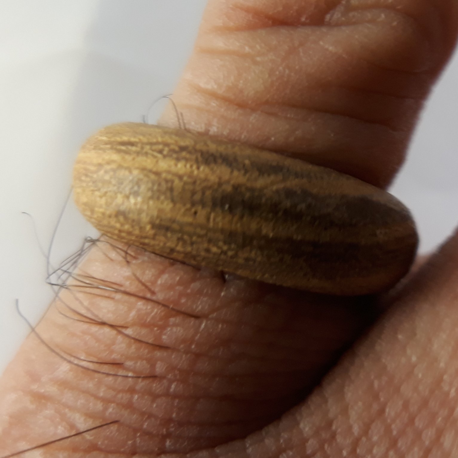 حلقه چوبی ساخته شده از چوب ملچ